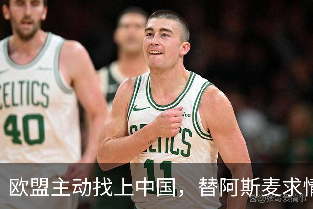 欧盟主动找上中国，替阿斯麦求情：中方别管制了，真顶不住